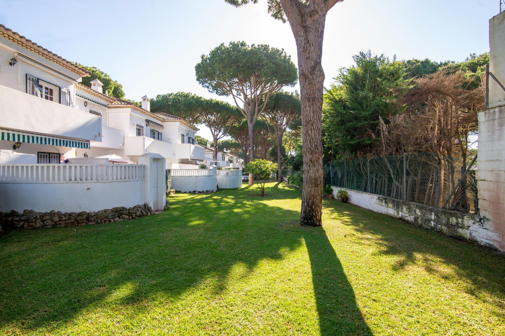 APARTAMENTO EN LA BARROSA - foto 3