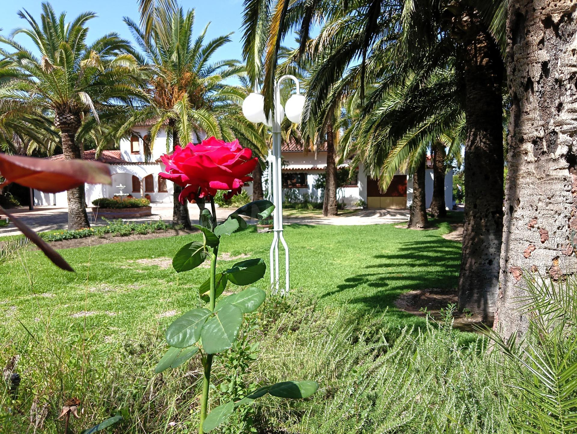 GRAN VILLA DE LUJO EN EL BOSQUE - foto 2