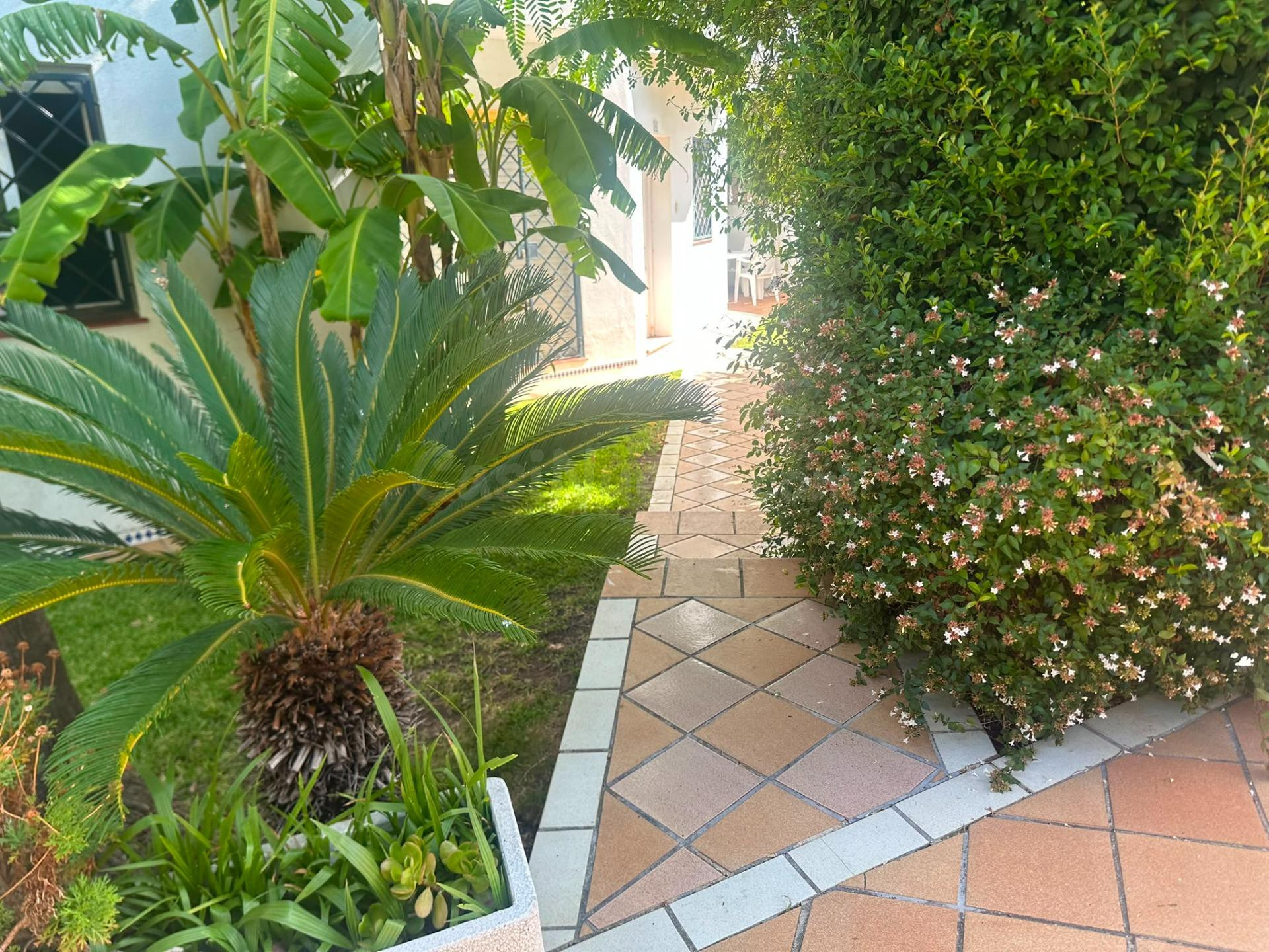 ADOSADO A 850 METROS DE LA PLAYA DE LA BARROSA | 3 DORMITORI