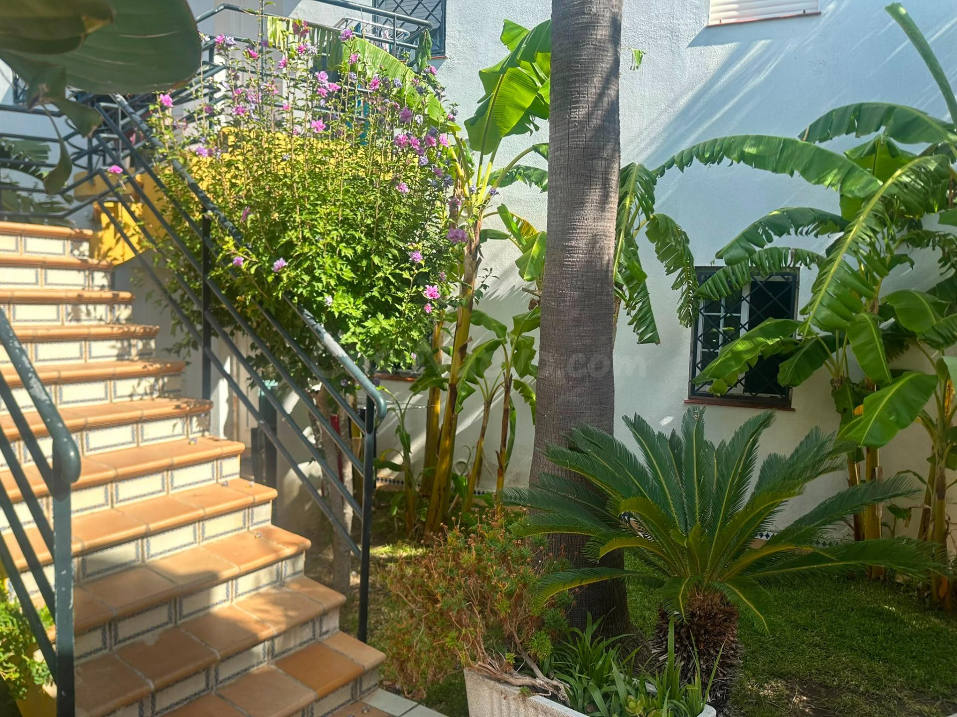 ADOSADO A 850 METROS DE LA PLAYA DE LA BARROSA | 3 DORMITORI - foto 2