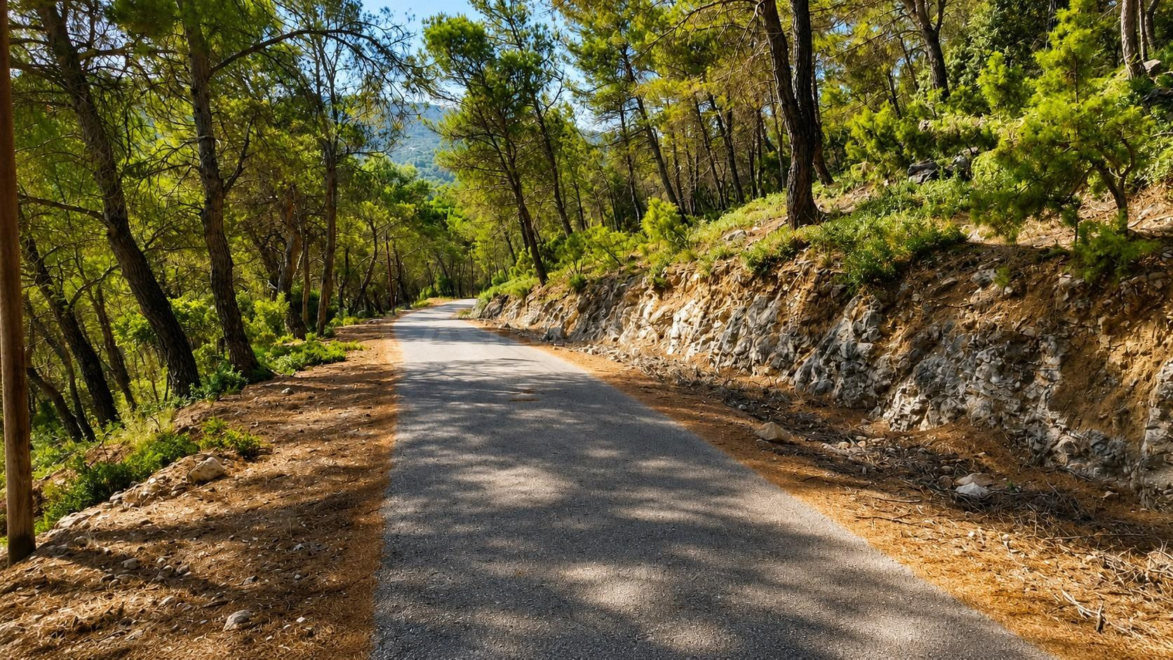 PARCELA URBANA EN NUEVA SIERRA DE ALTOMIRA – NATURALEZA, VIS - foto 2