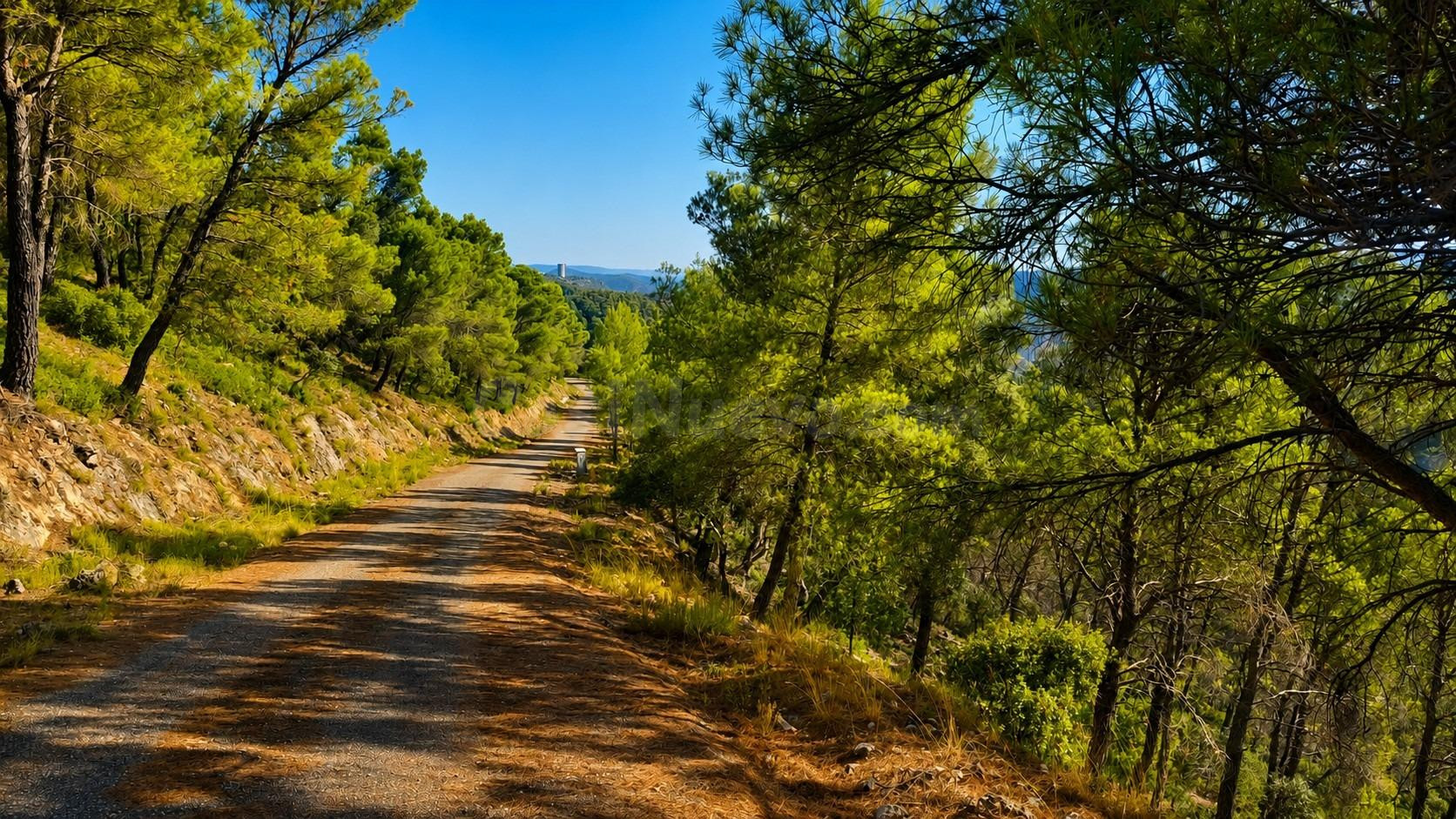 PARCELA URBANA EN NUEVA SIERRA DE ALTOMIRA – NATURALEZA, VIS - foto 3