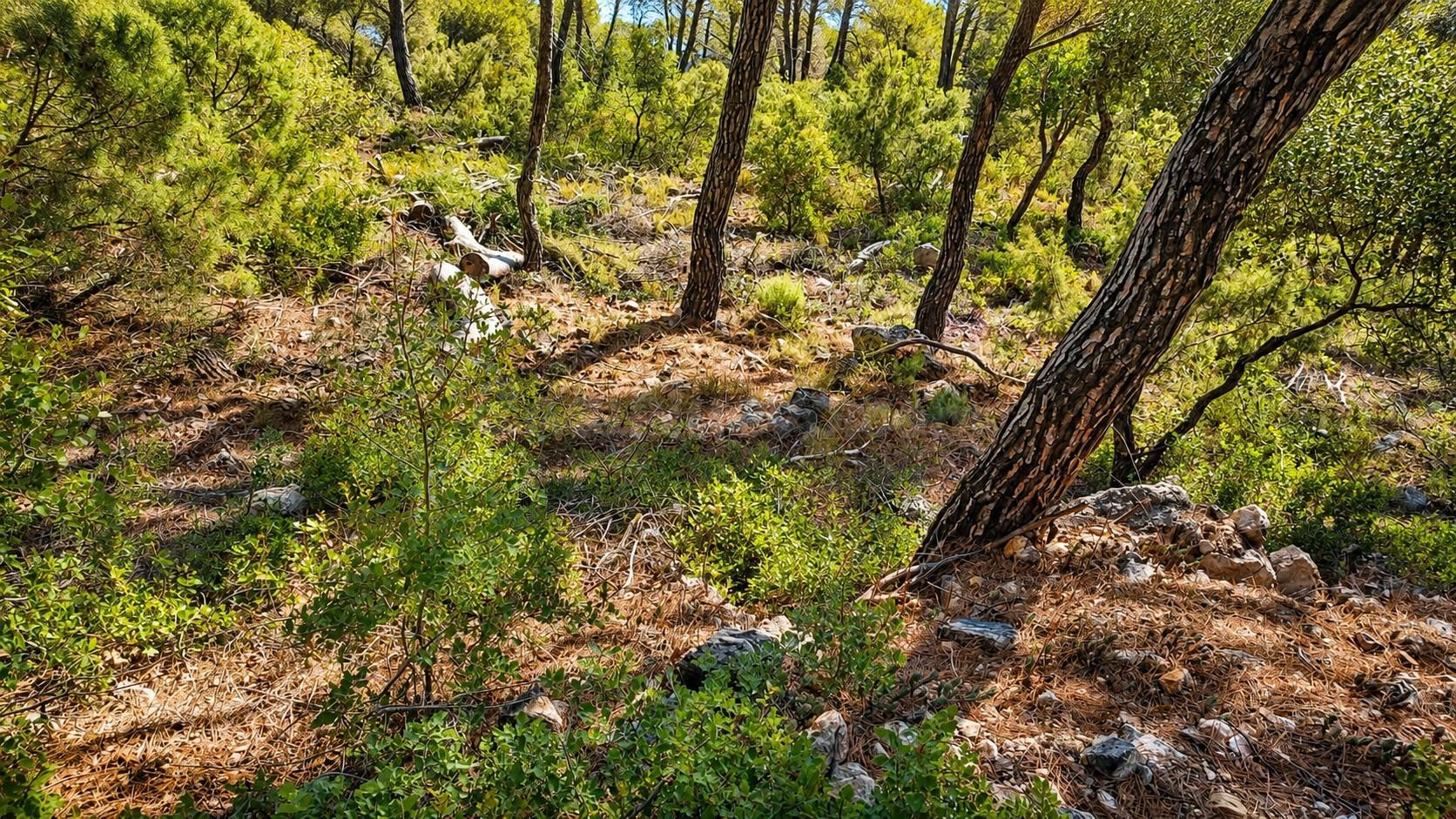 PARCELA URBANA EN NUEVA SIERRA DE ALTOMIRA – NATURALEZA, VIS - foto 4