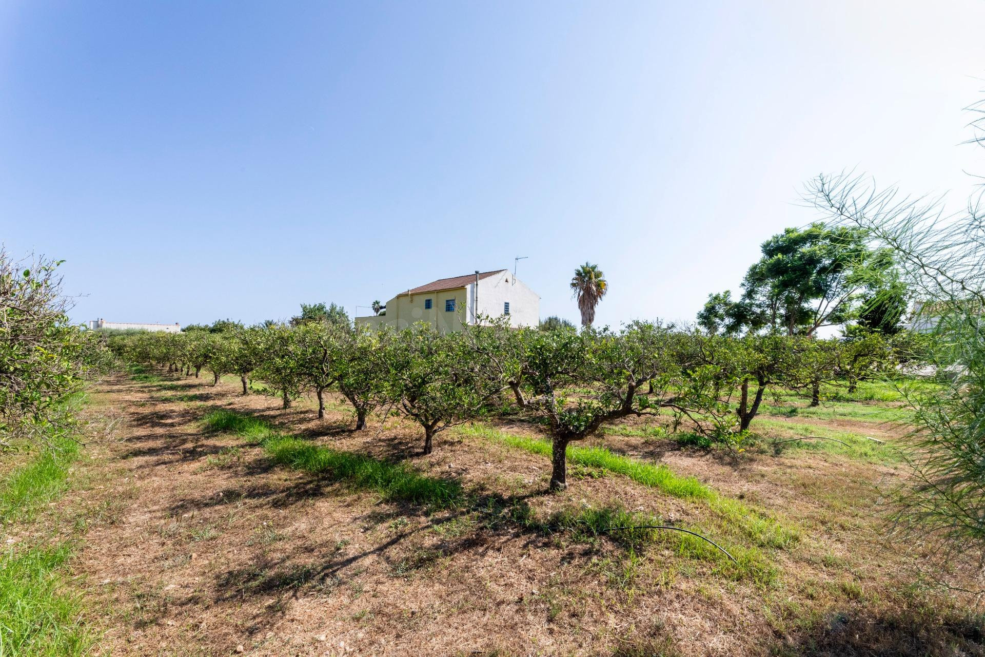EXCLUSIVO REFUGIO RURAL COMPUESTO POR UNA FINCA RÚSTICA DE 5 - foto 5