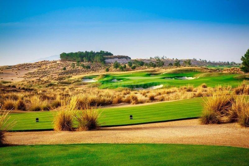VILLAS DE OBRA NUEVA EN CONDADO DE ALHAMA CAMPO DE GOLF - foto 5