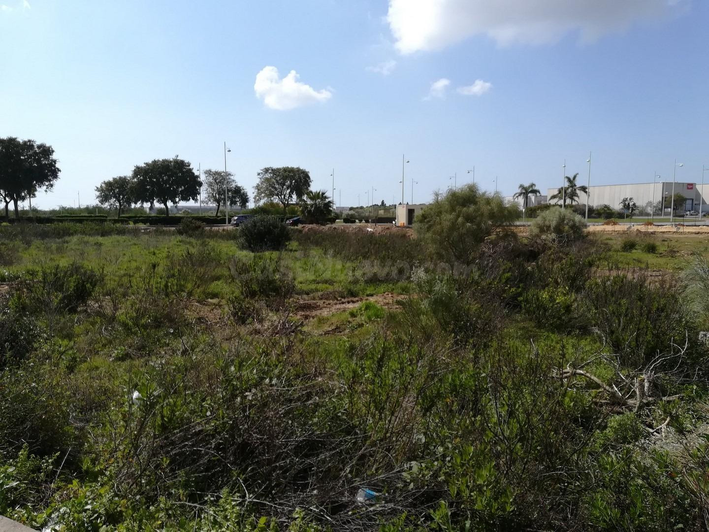 VENTA DE TERRENO INDUSTRIAL - foto 3