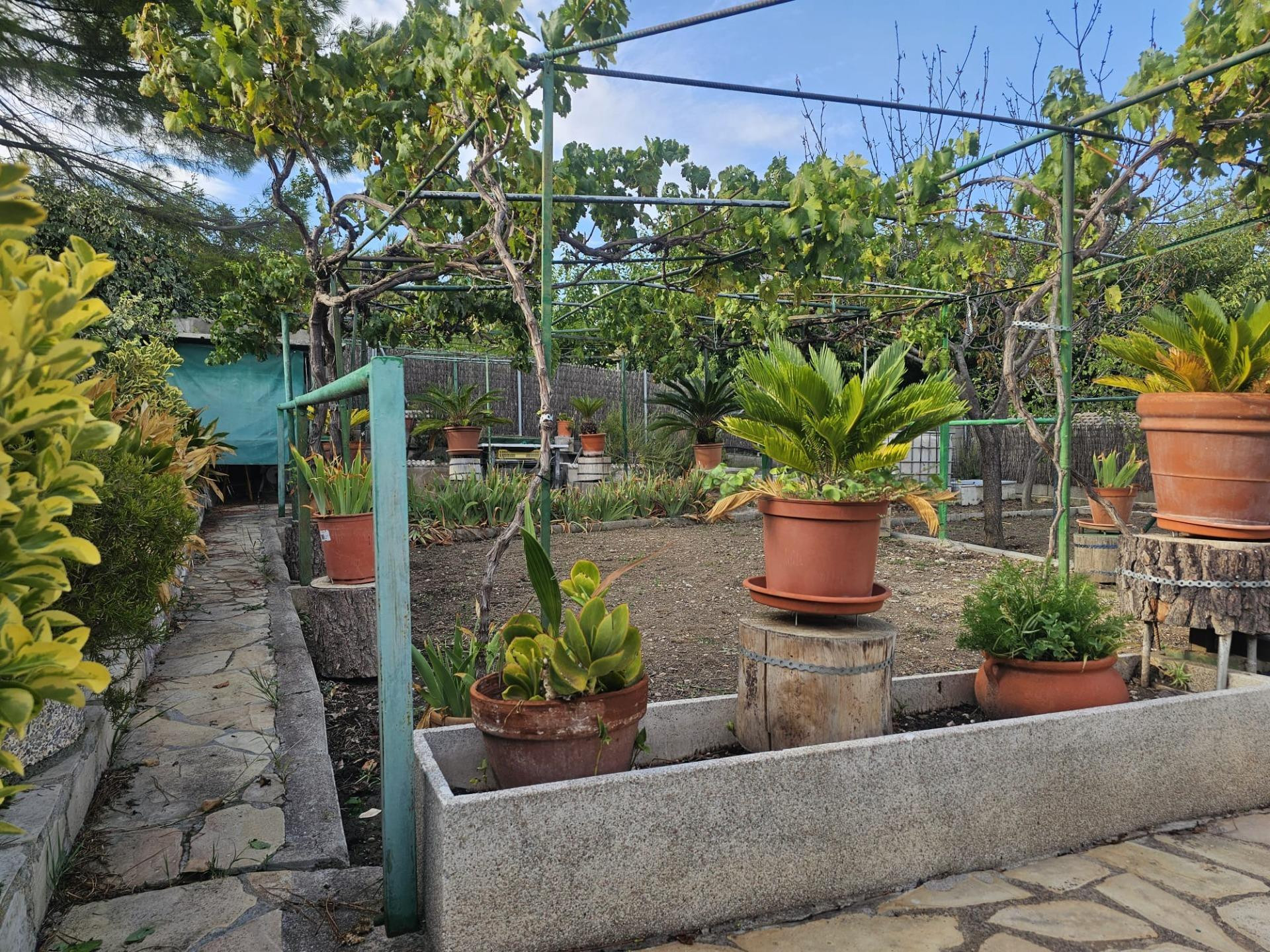 CASA A 4 VIENTOS EN MAS DEN GALL - foto 2