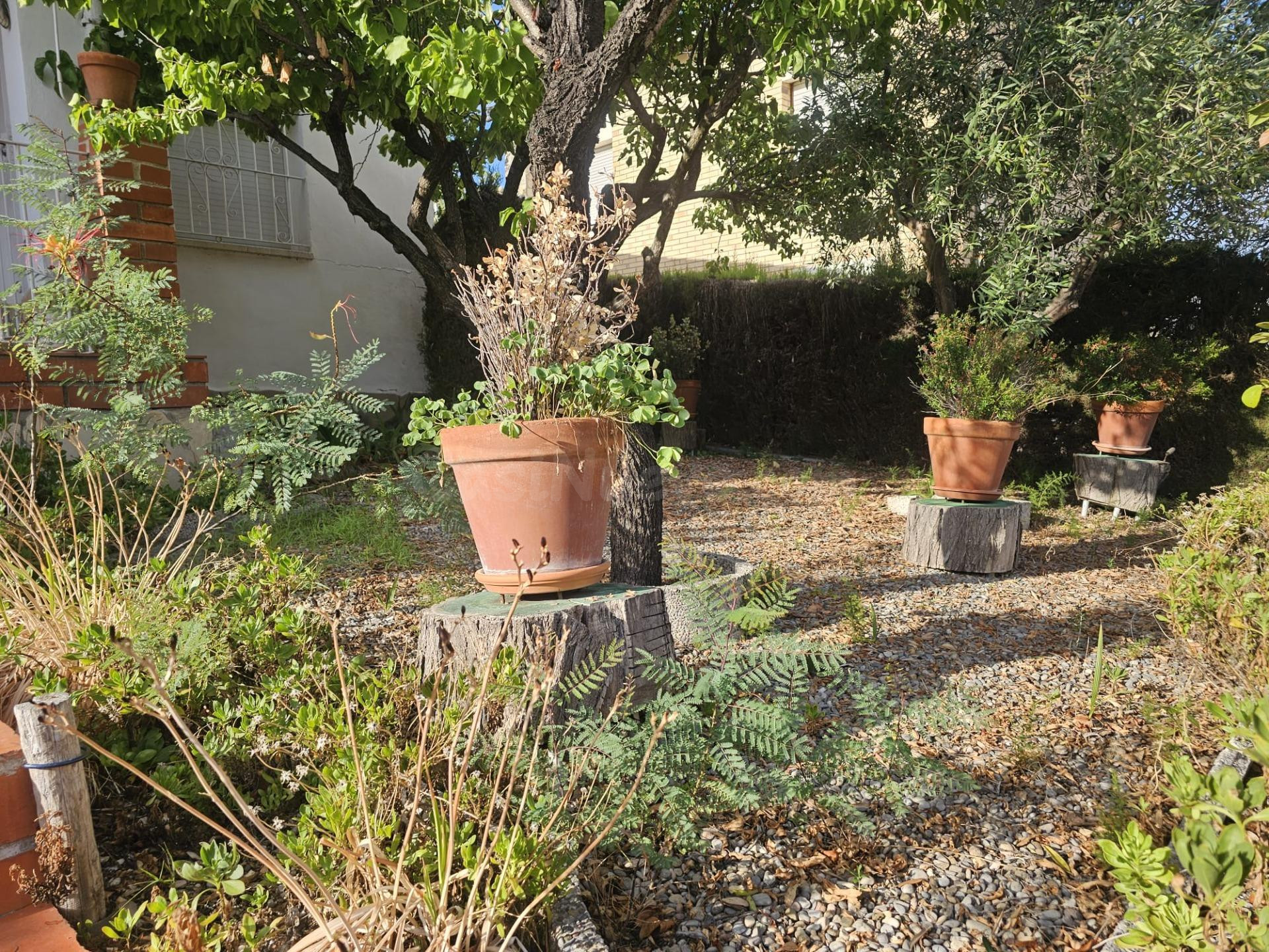 CASA A 4 VIENTOS EN MAS DEN GALL - foto 3