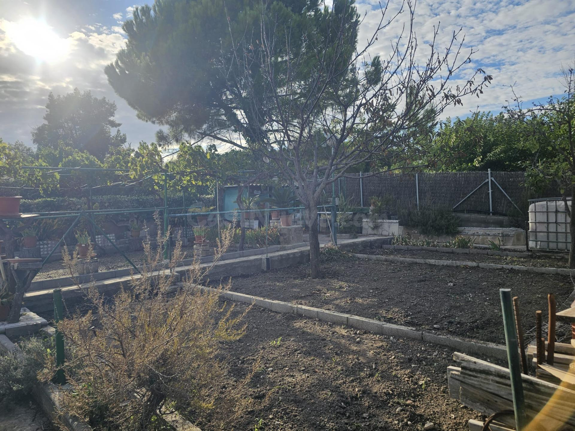 CASA A 4 VIENTOS EN MAS DEN GALL - foto 4