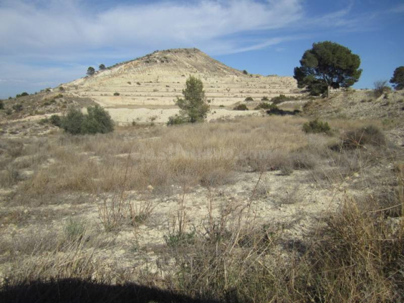 FINCA RÚSTICA EN ASPE