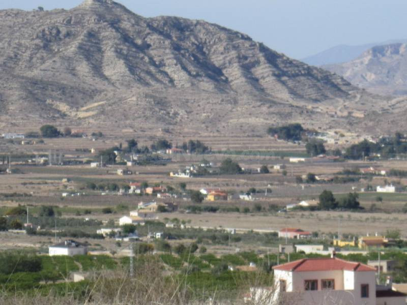FINCA RÚSTICA EN ASPE - foto 3
