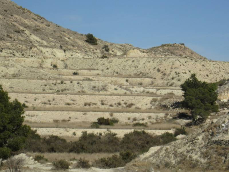 FINCA RÚSTICA EN ASPE - foto 5