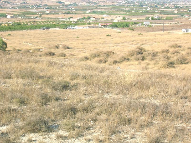 SE VENDE TERRENO EN ASPE - foto 2