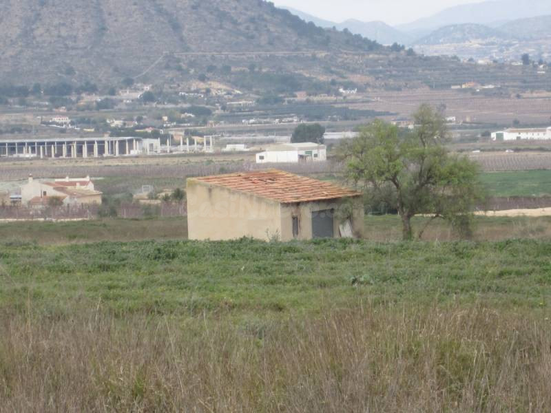 SE VENDE TERRENO EN ASPE - foto 3