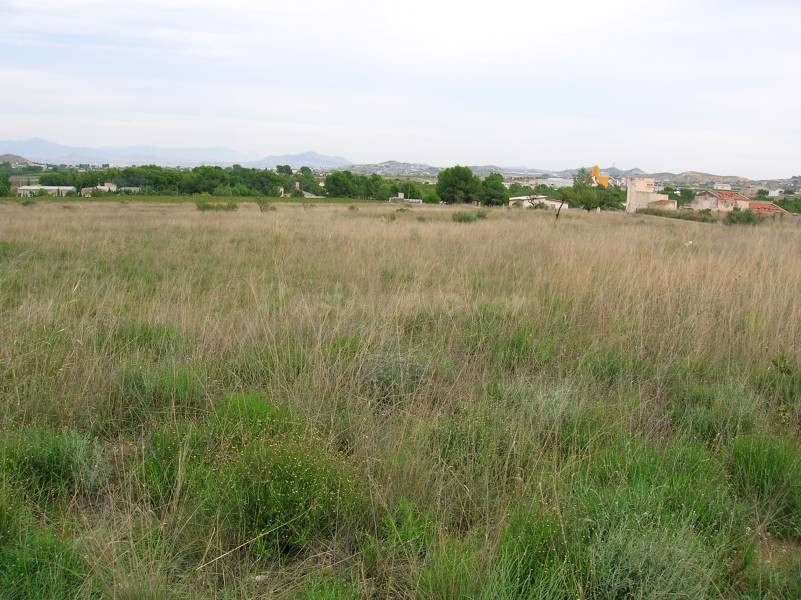 Parcela en venta - Horna
