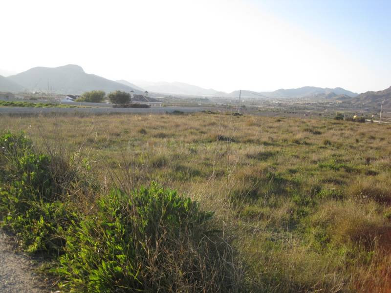 SE VENDE PARCELA EN ASPE - foto 2