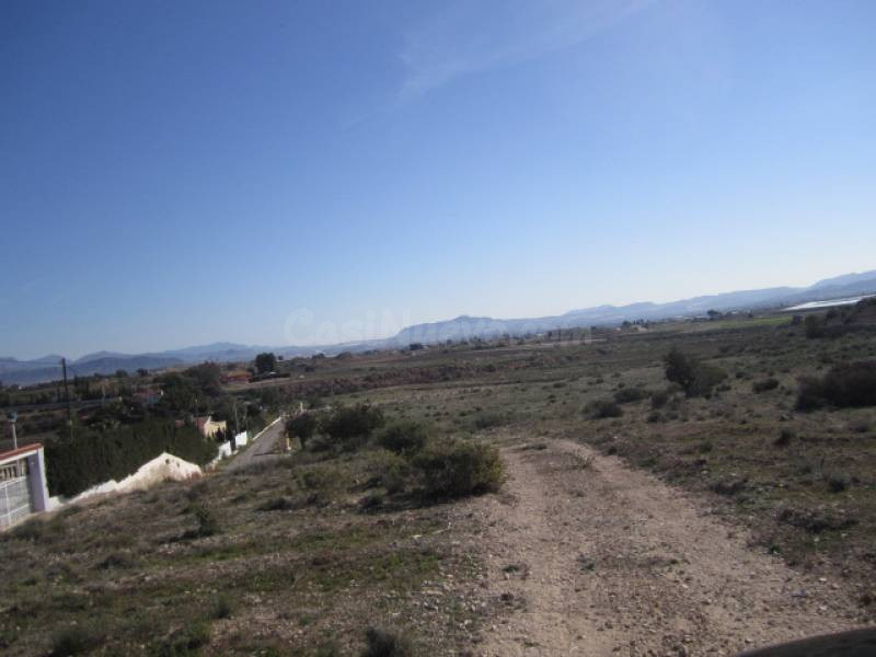 TERRENO EN NOVELDA - foto 2