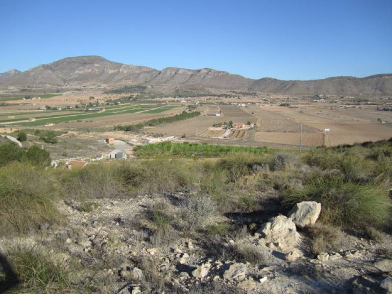 SE VENDE TERRENO EN HONDON DE LAS NIEVES
