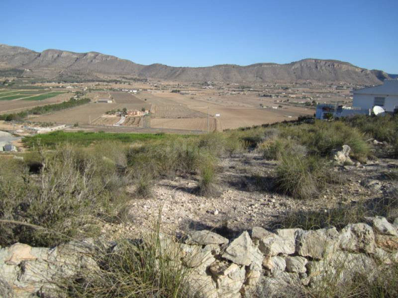 SE VENDE TERRENO EN HONDON DE LAS NIEVES - foto 2