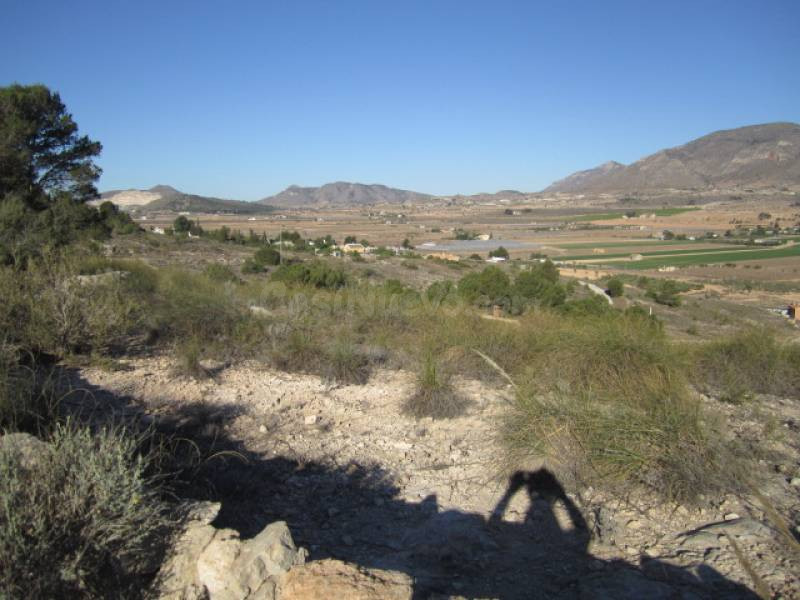 SE VENDE TERRENO EN HONDON DE LAS NIEVES - foto 3