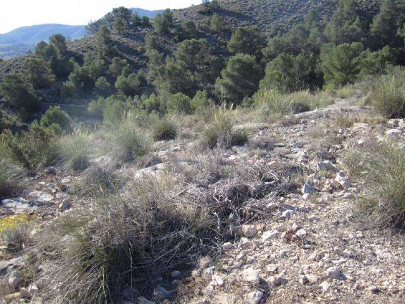 SE VENDE TERRENO EN HONDON DE LAS NIEVES - foto 4