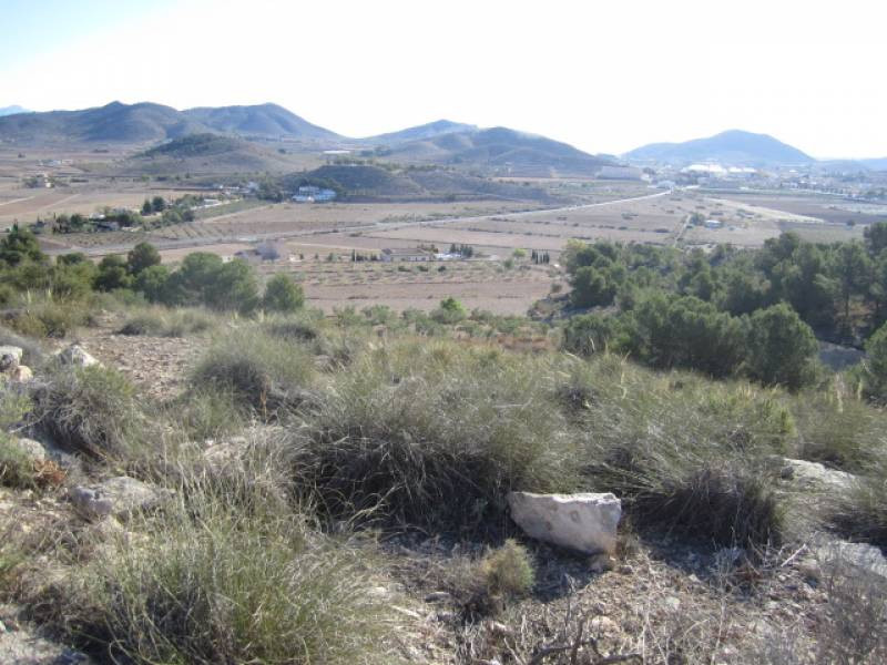 SE VENDE TERRENO EN HONDON DE LAS NIEVES - foto 5