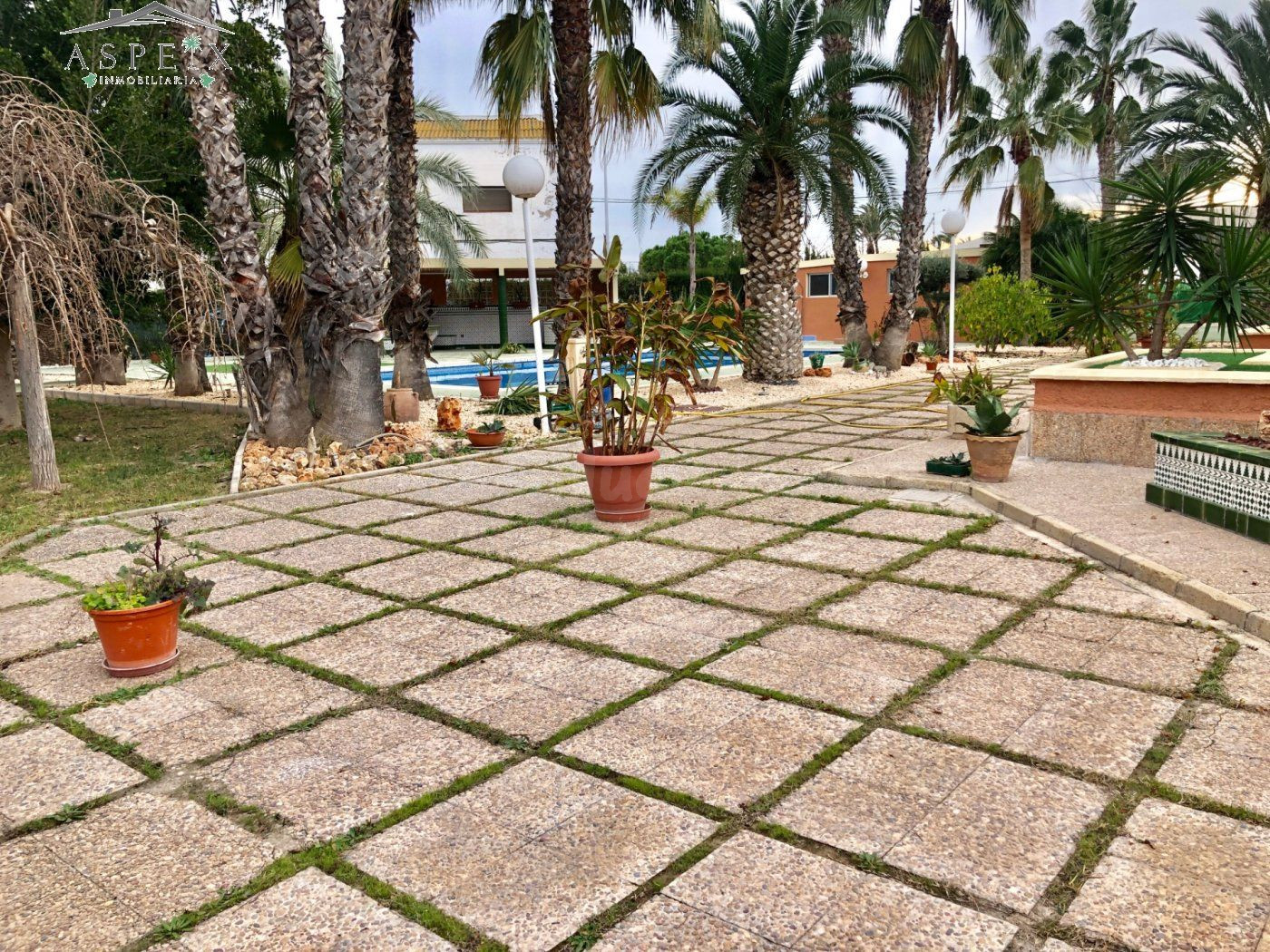 SE VENDE CHALET EN ELCHE - foto 5