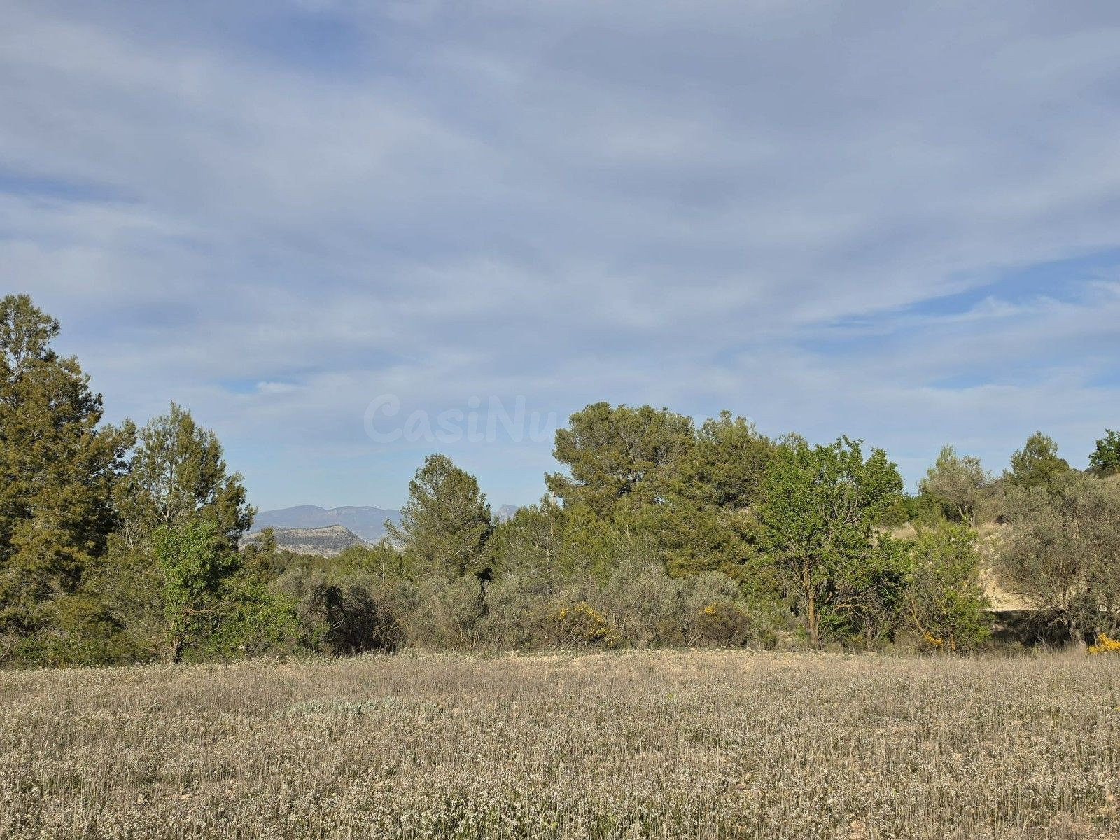Parcela en venta - Comunidad valenciana - foto 3