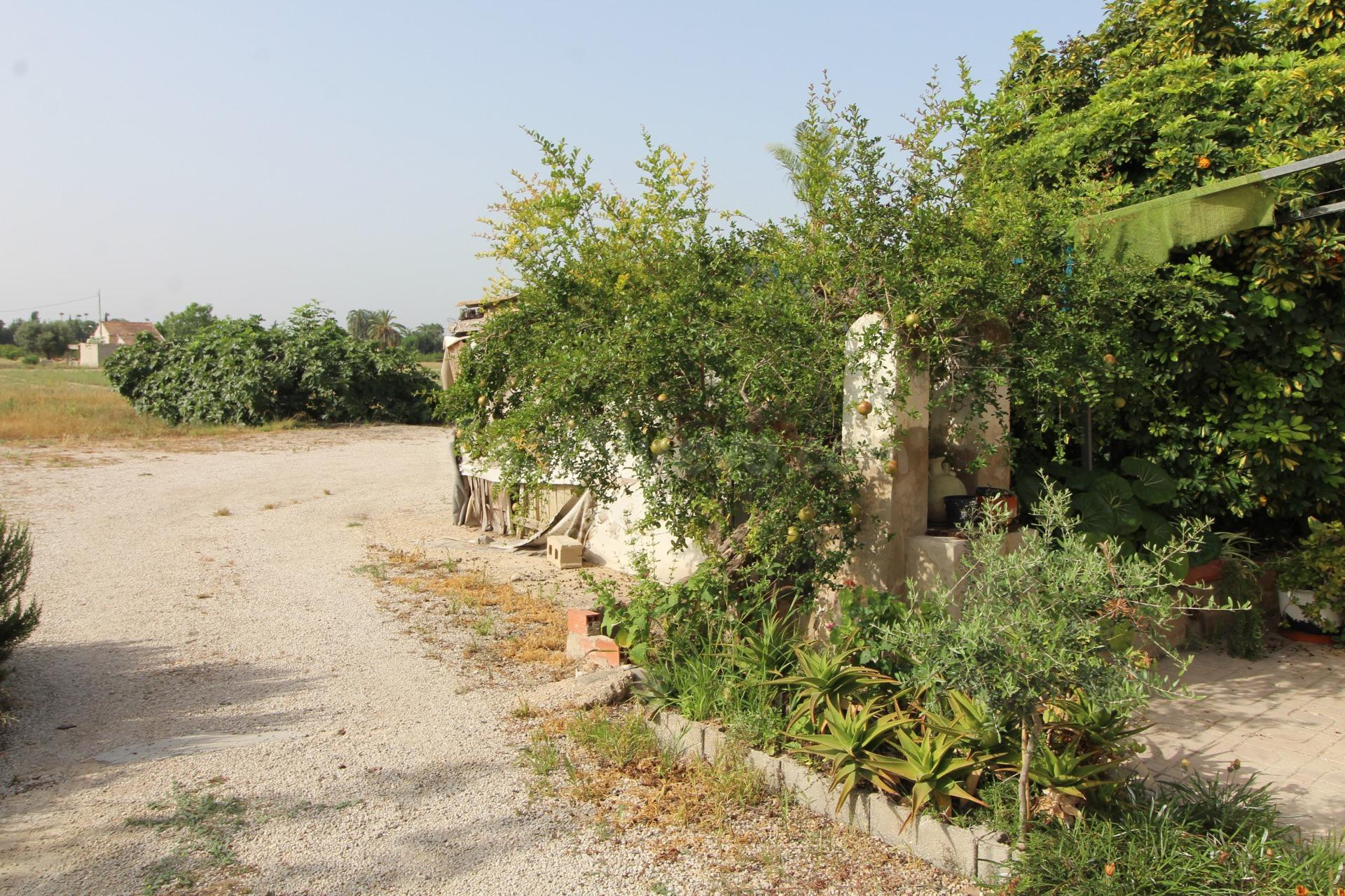 Casa de campo en Elche - foto 2