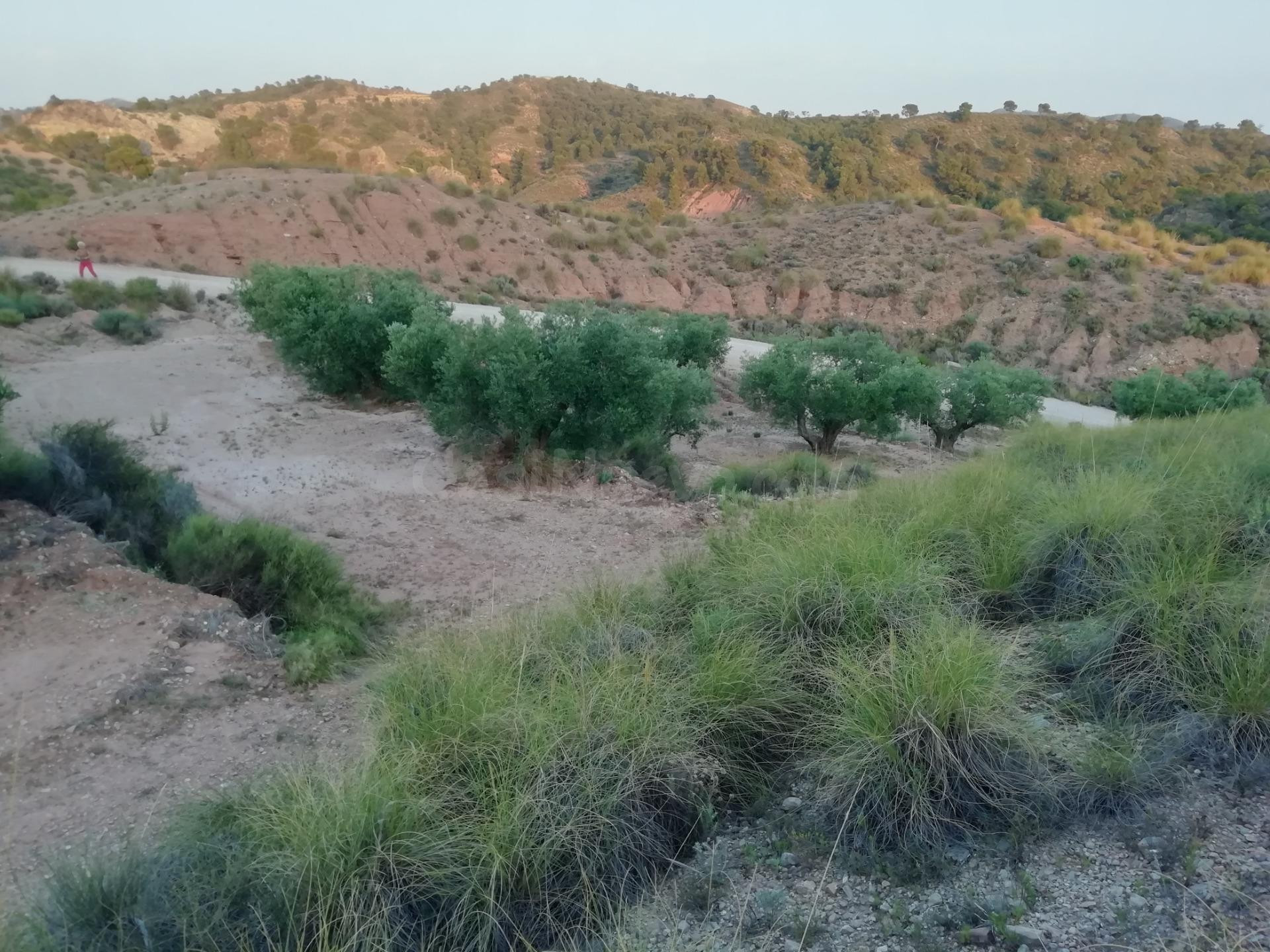 Finca rustica en Macisvenda