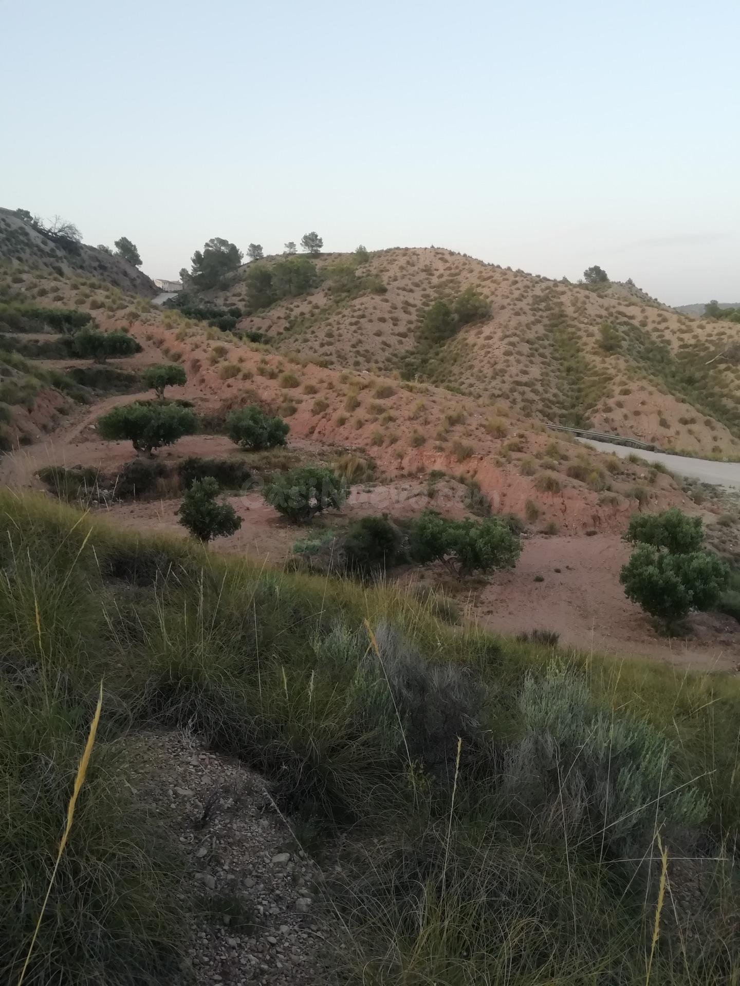 Finca rustica en Macisvenda - foto 2