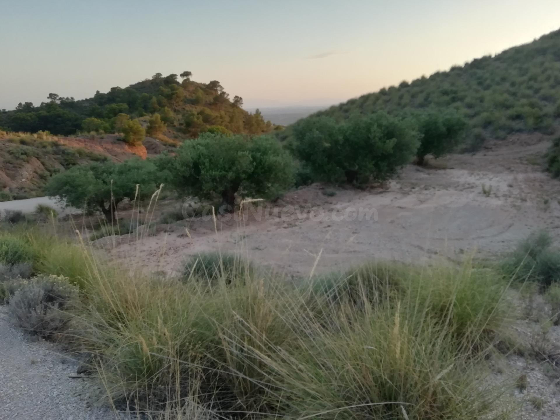 Finca rustica en Macisvenda - foto 3