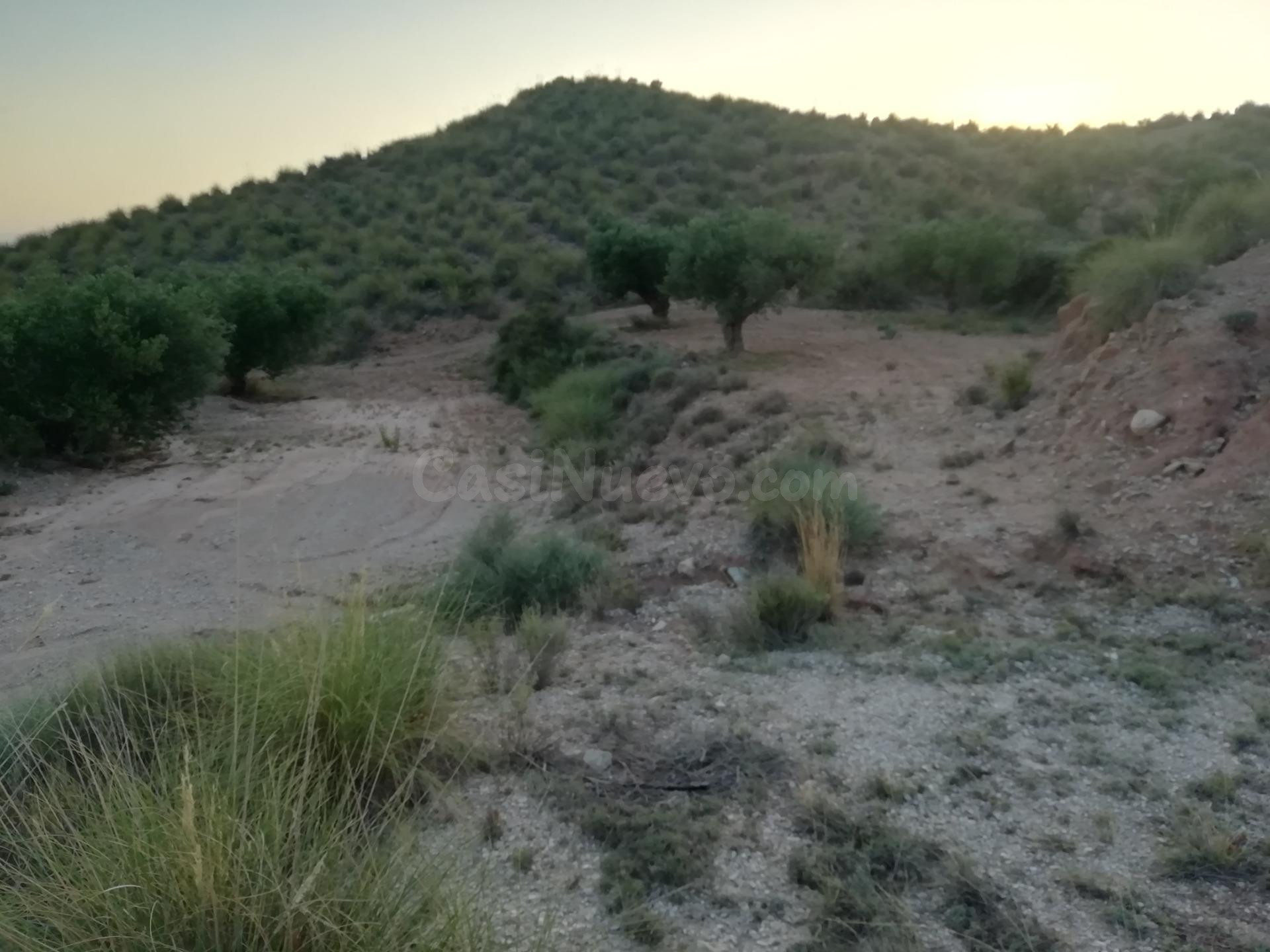 Finca rustica en Macisvenda - foto 4