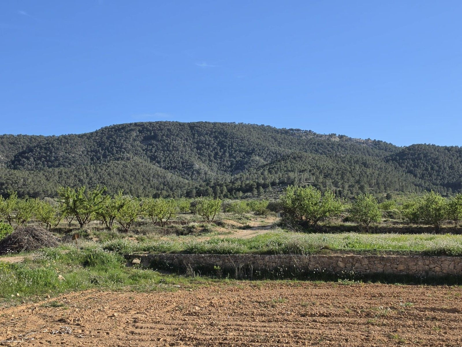 Parcela en venta - Comunidad valenciana