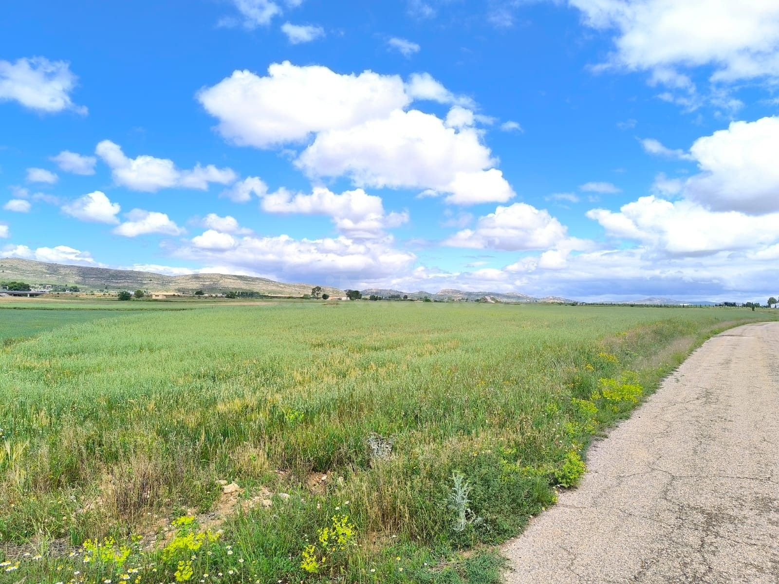 Parcela 5m² en venta - Yecla - foto 5