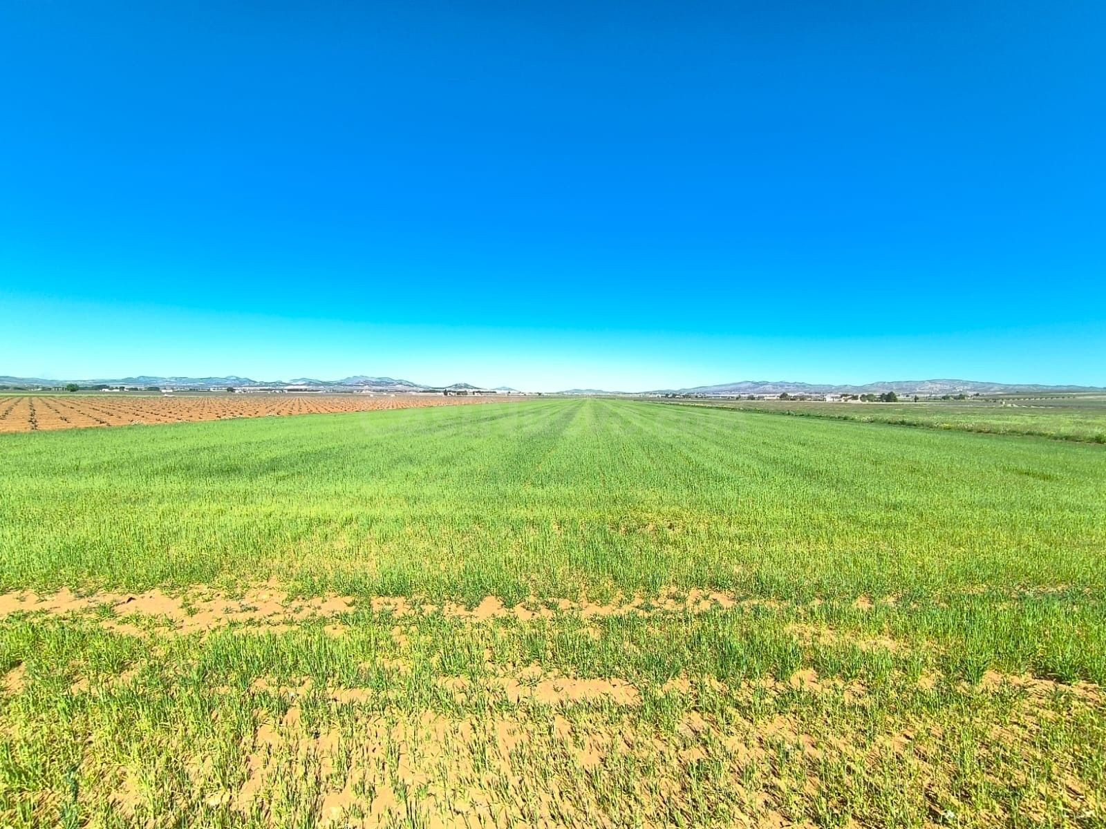 Parcela 5m² en venta - Ayuntamiento