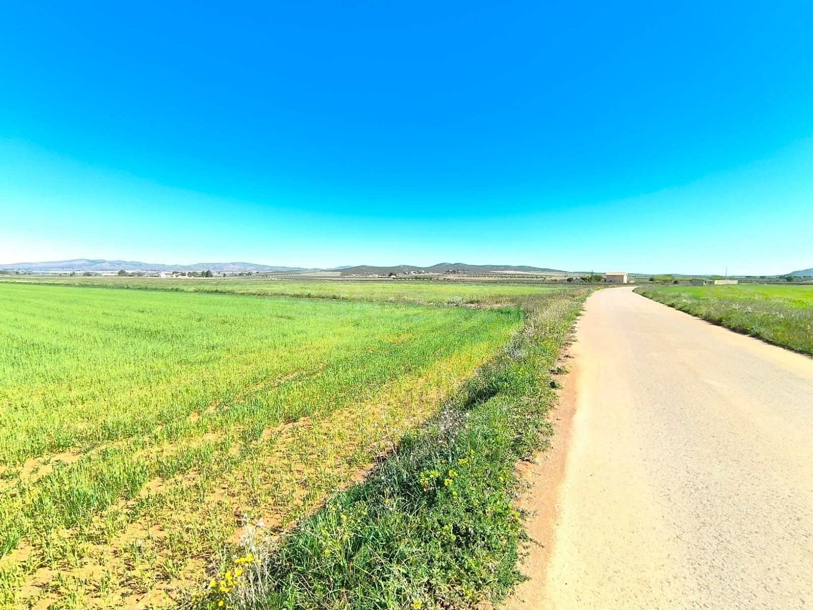 Parcela 5m² en venta - Ayuntamiento - foto 2