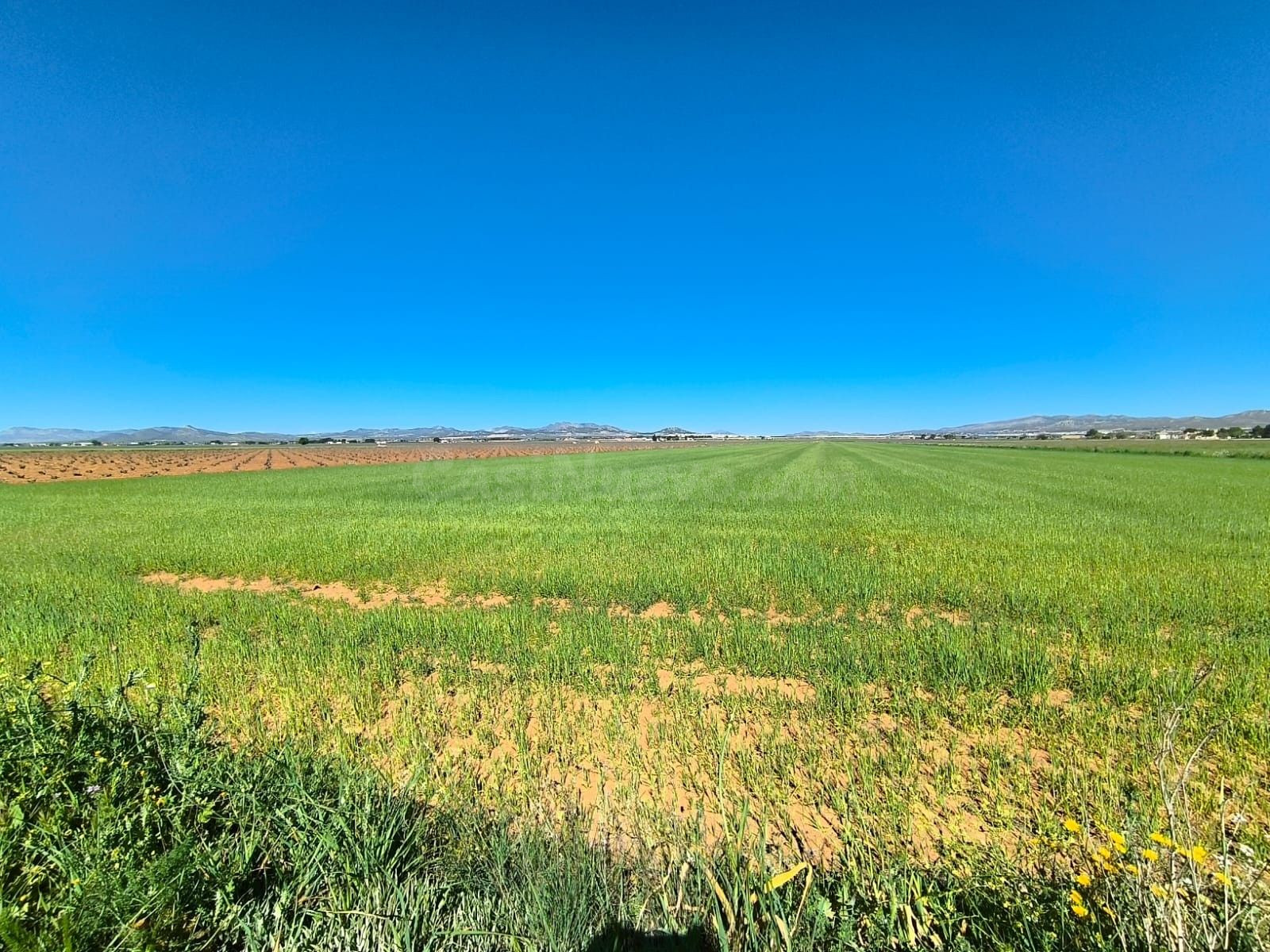 Parcela 5m² en venta - Ayuntamiento - foto 3