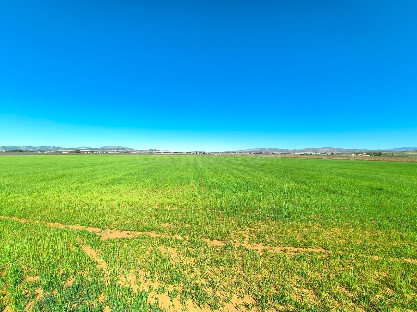 Parcela 5m² en venta - Ayuntamiento - foto 2