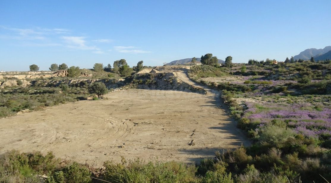 Parcela en venta - Abanilla - foto 2