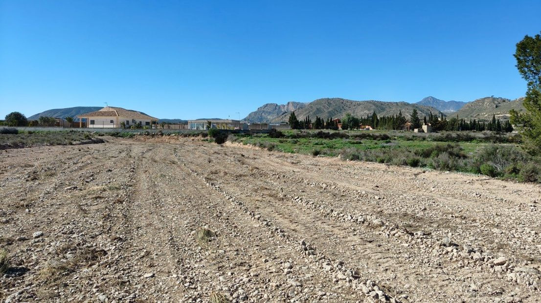 Parcela en venta - Abanilla - foto 3