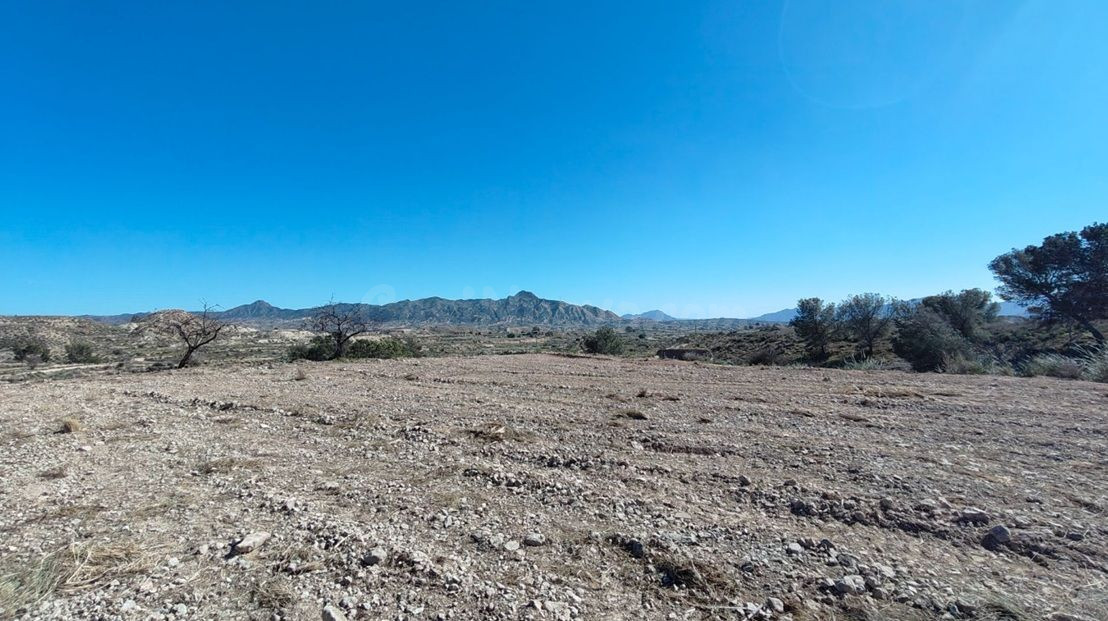 Parcela en venta - Abanilla - foto 4