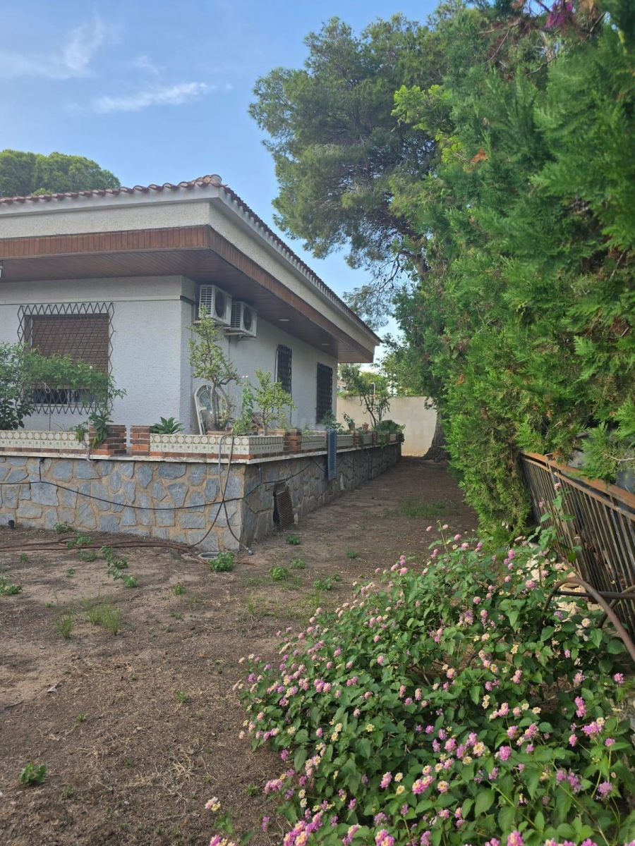 Villa 7 habitaciones 230m² en venta - Lomas de Cabo Roig - foto 2
