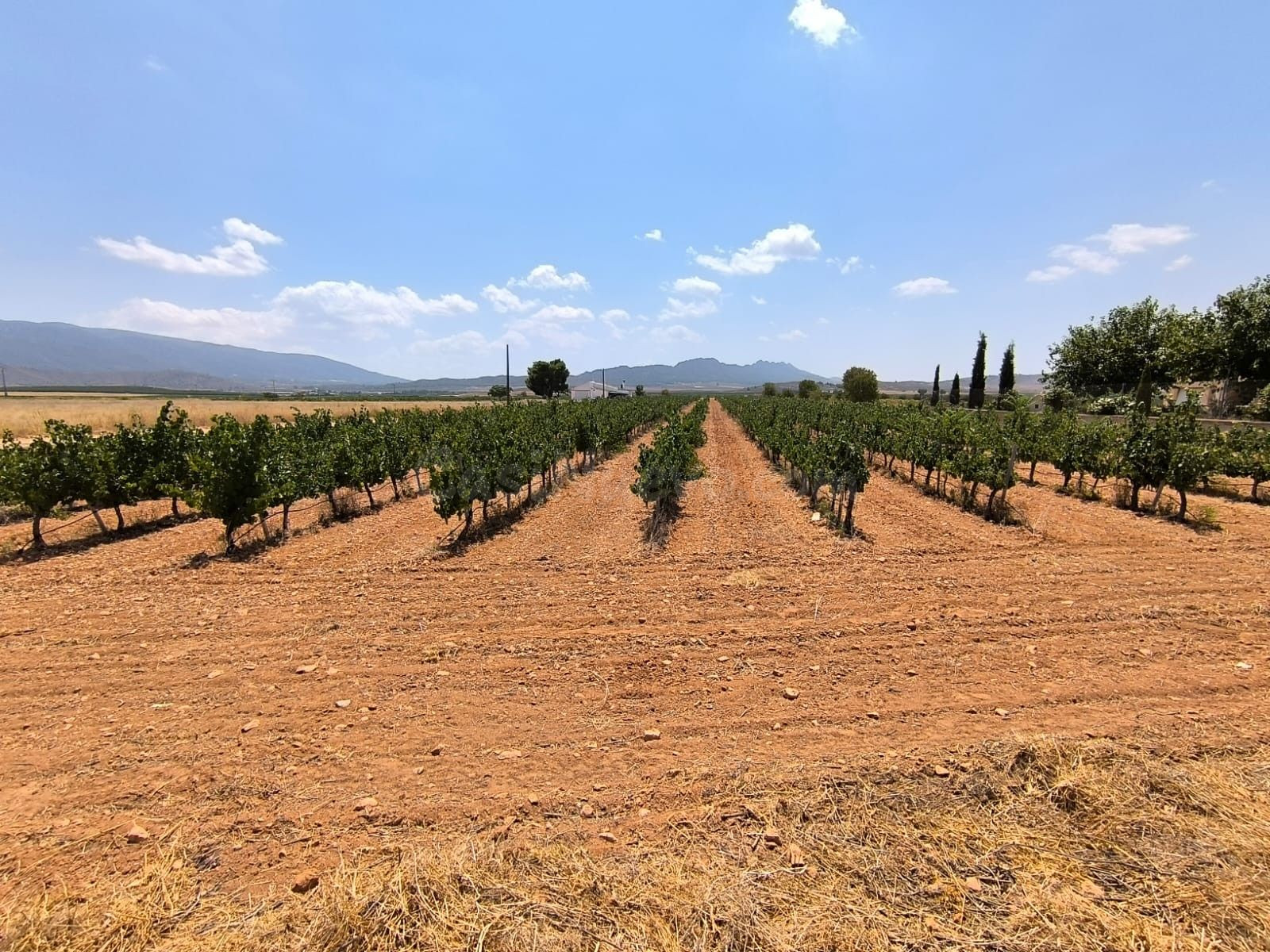 Parcela en venta - Ayuntamiento
