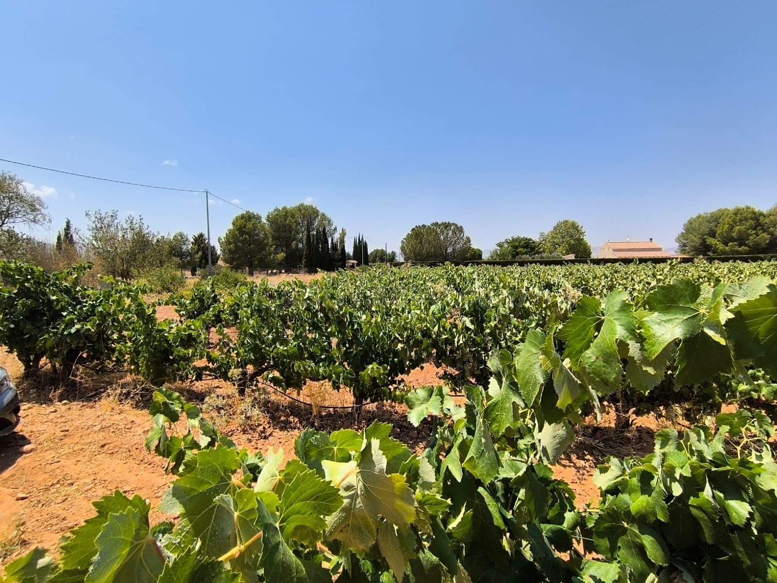 Parcela en venta - Ayuntamiento - foto 5