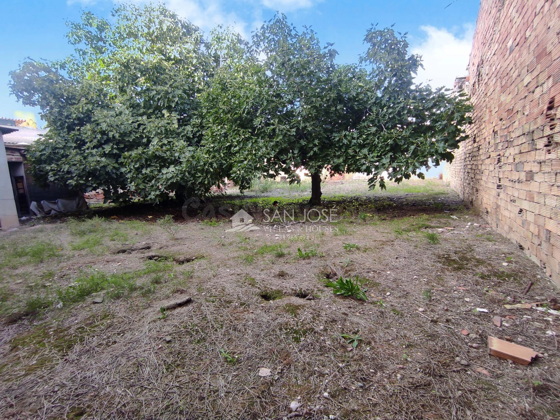 SE VENDE PARCELA URBANA DE 801M CON ALMACEN PARA REFORMAR DE - foto 2