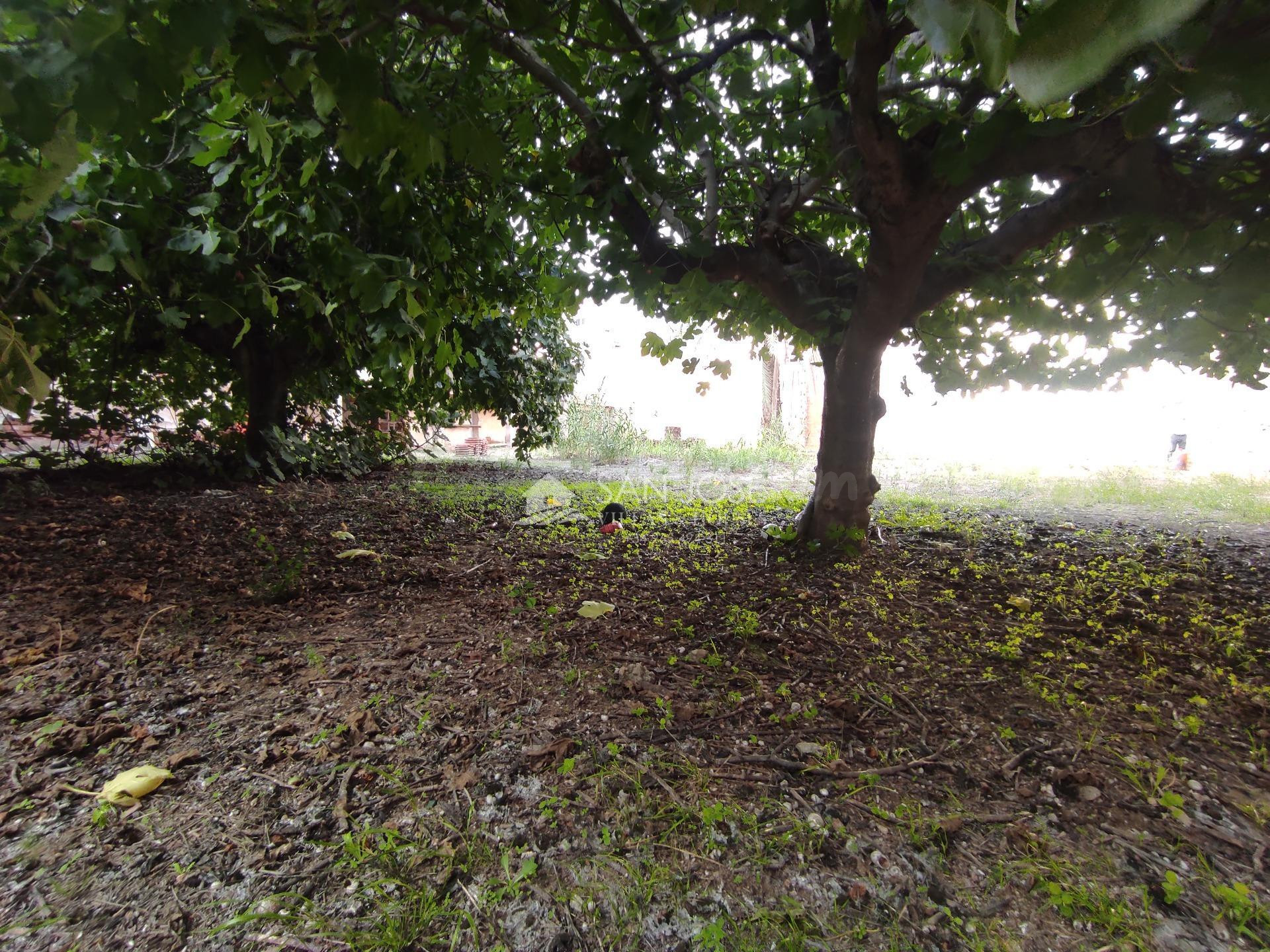 SE VENDE PARCELA URBANA DE 801M CON ALMACEN PARA REFORMAR DE - foto 3