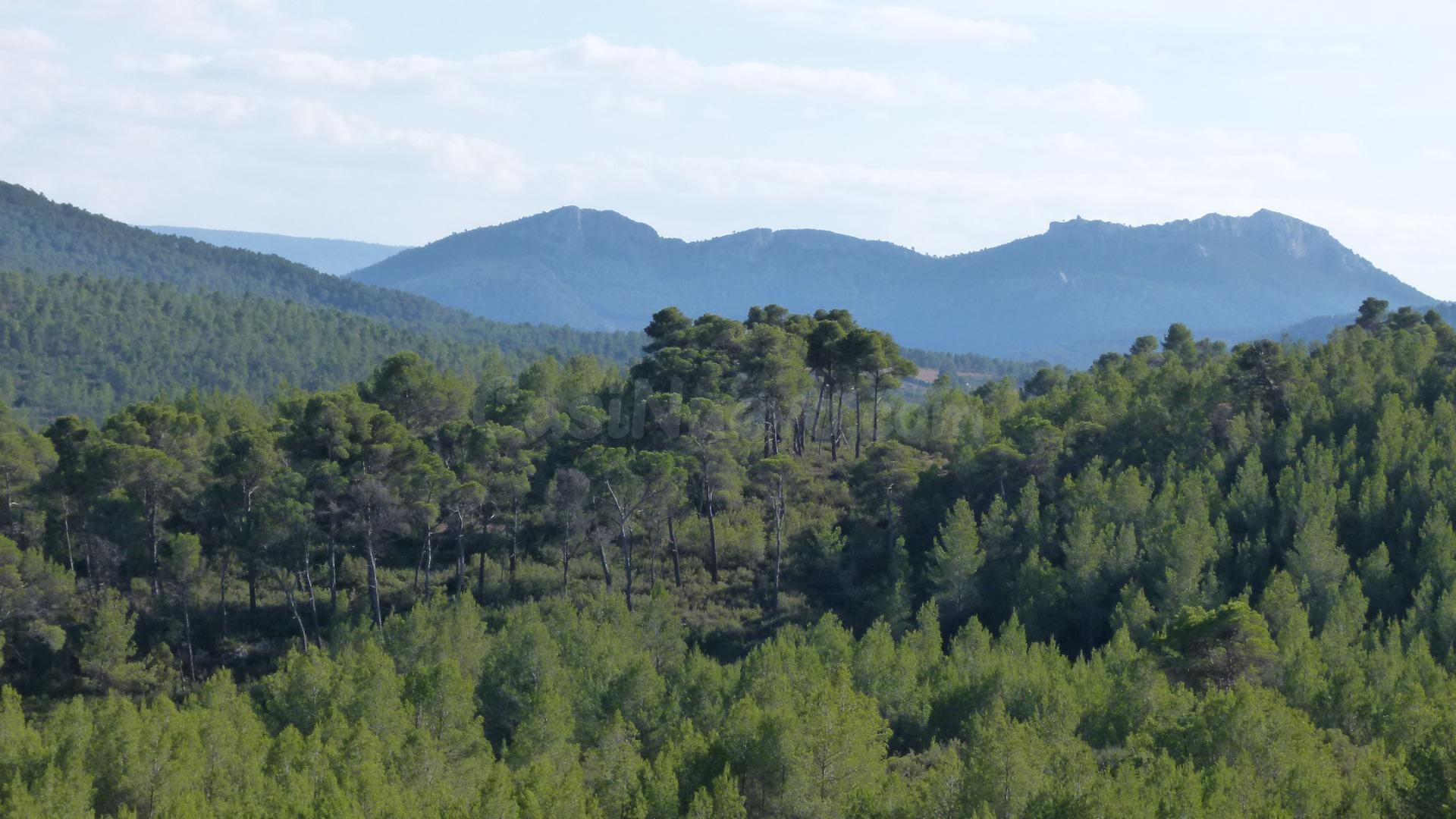 TU REFUGIO IDEAL: FINCA RÚSTICA EN MEDIO DE LA MONTAÑA
