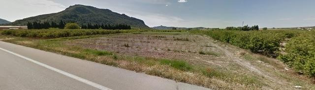 TERRENO RÚSTICO A LA VENTA EN XATIVA