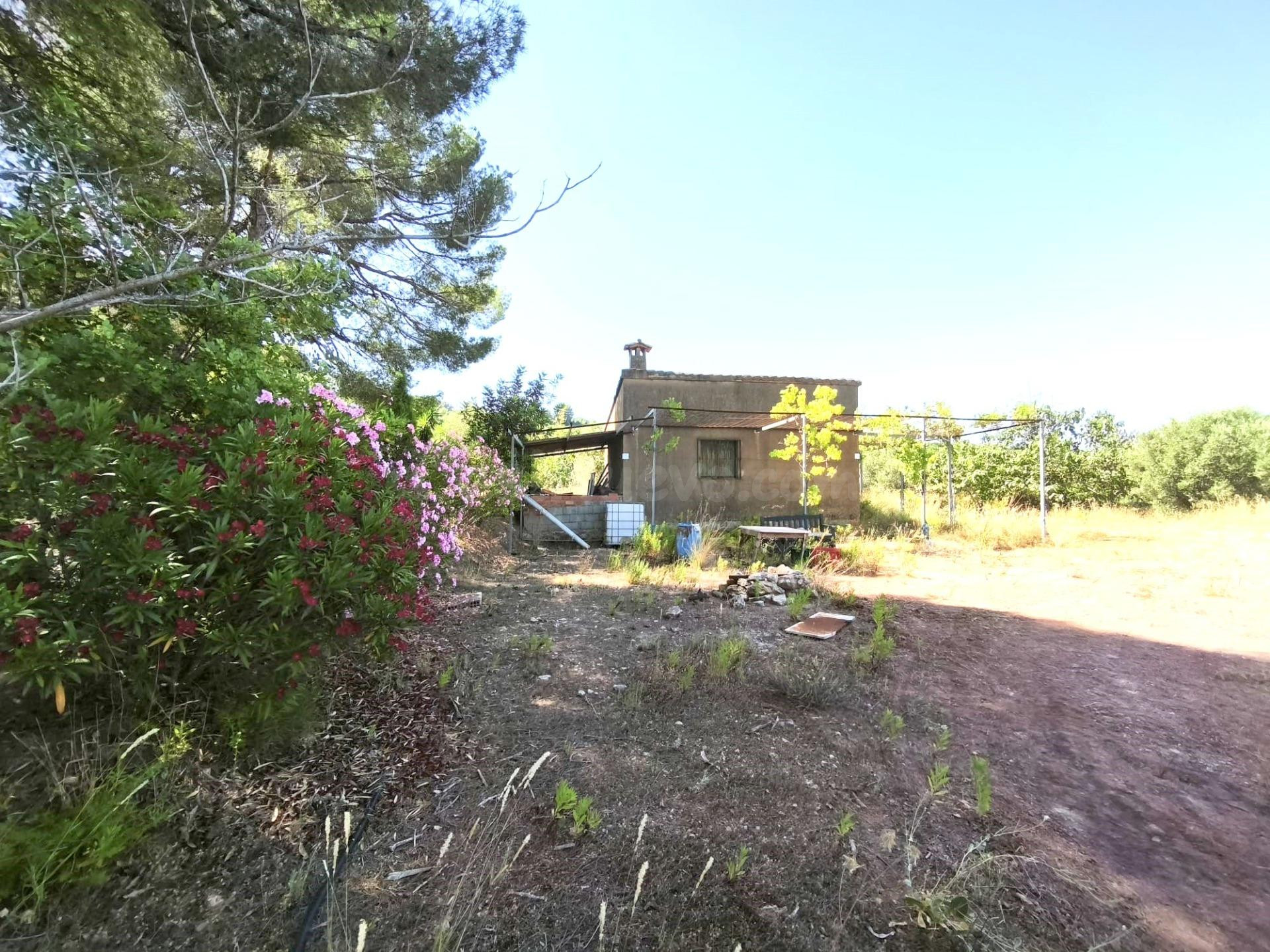 Oportunidad Única: Casa con Terreno en La Llosa de Ranes por